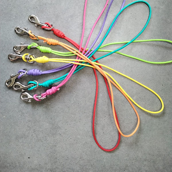 Headcollar/harness to collar clip